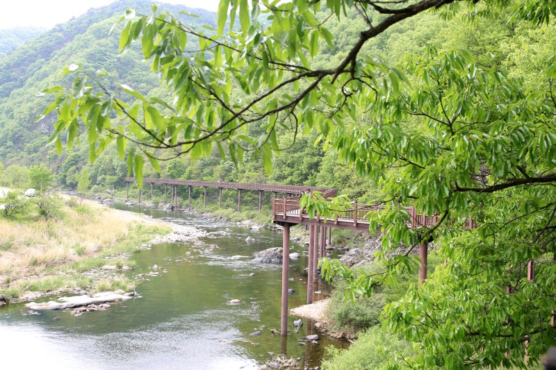 사진 7