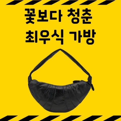 Youth Over Flowers Choi Woo-shik's Bag: Crossbody Bag, Lemaire Croissant, Youth Over Flowers Episode 1 Fashion