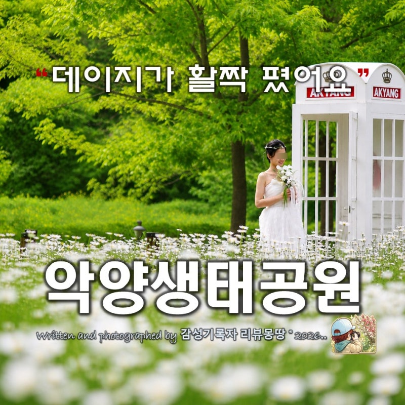 사진 4