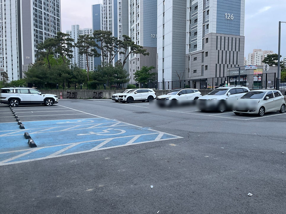 고덕애견놀이터 사진 2