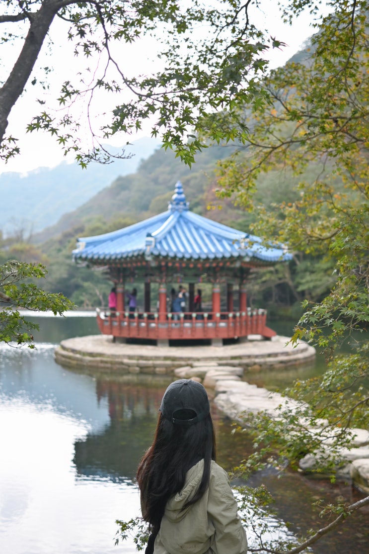  정읍 내장산 등산 코스 지도 오색 단풍길 국립공원 가족여행