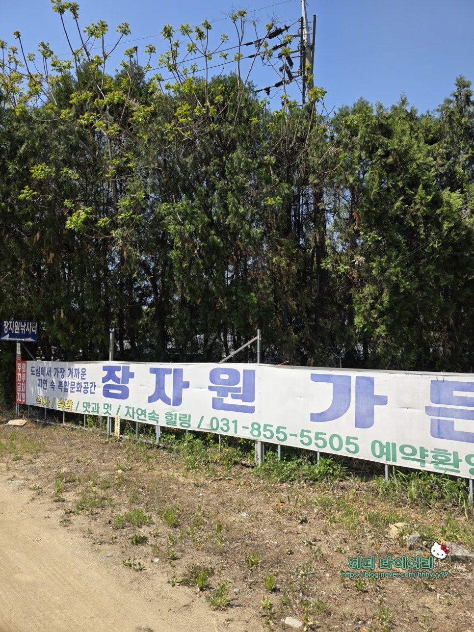 장자원 사진 2