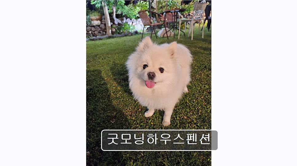 굿모닝하우스펜션 사진 1