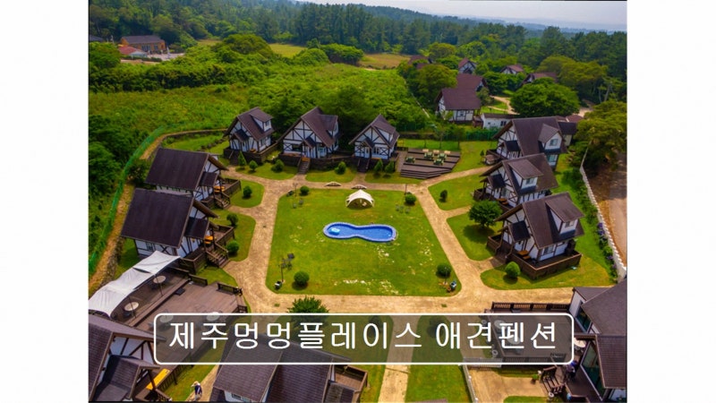 사진 3