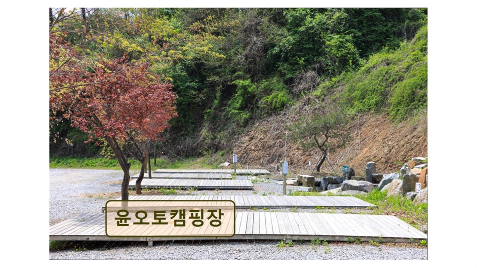 윤오토캠핑장 사진 1