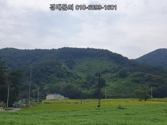  빼어난 자연 경관과 쾌적한 환경, 경남 창원 마산합포구 구산면 마전리 넓은 대지 전원주택 경매로 노리는 특별한 투자 기회 2024타경104716