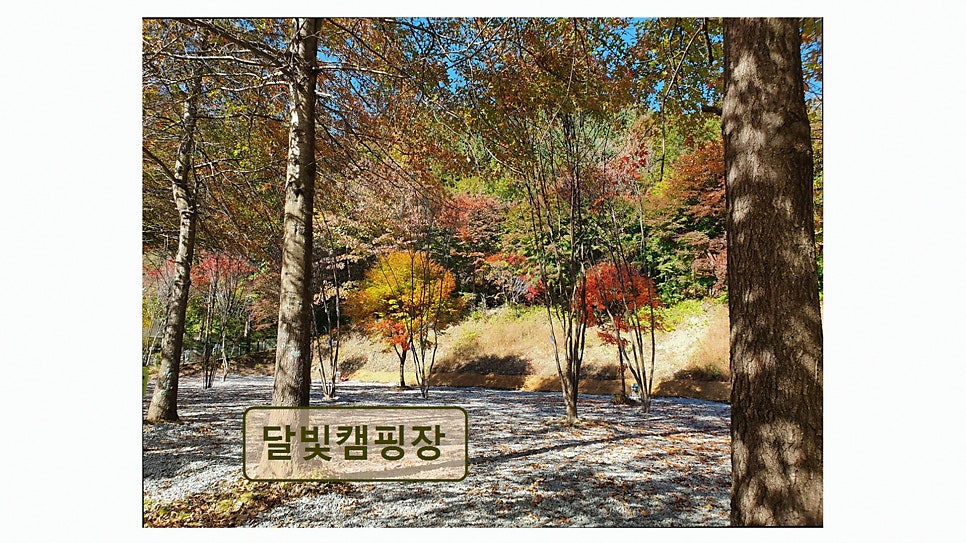 달빛캠핑장 사진 4