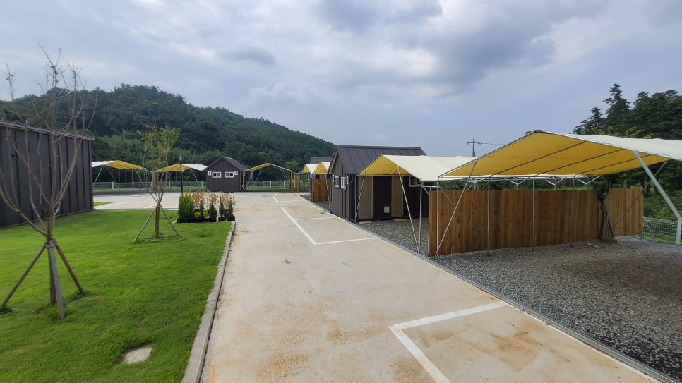 동글감나무캠핑장 사진 7