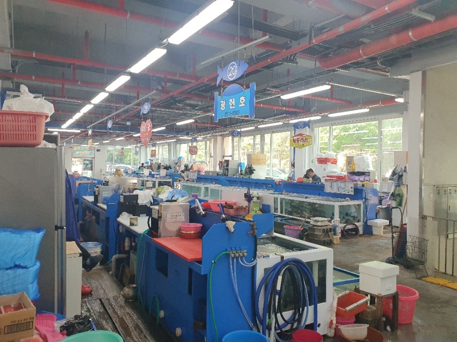 황금어장 사진 3
