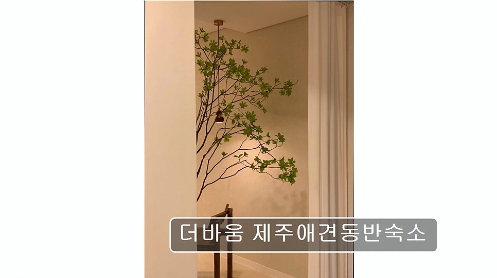 더바움 사진 1