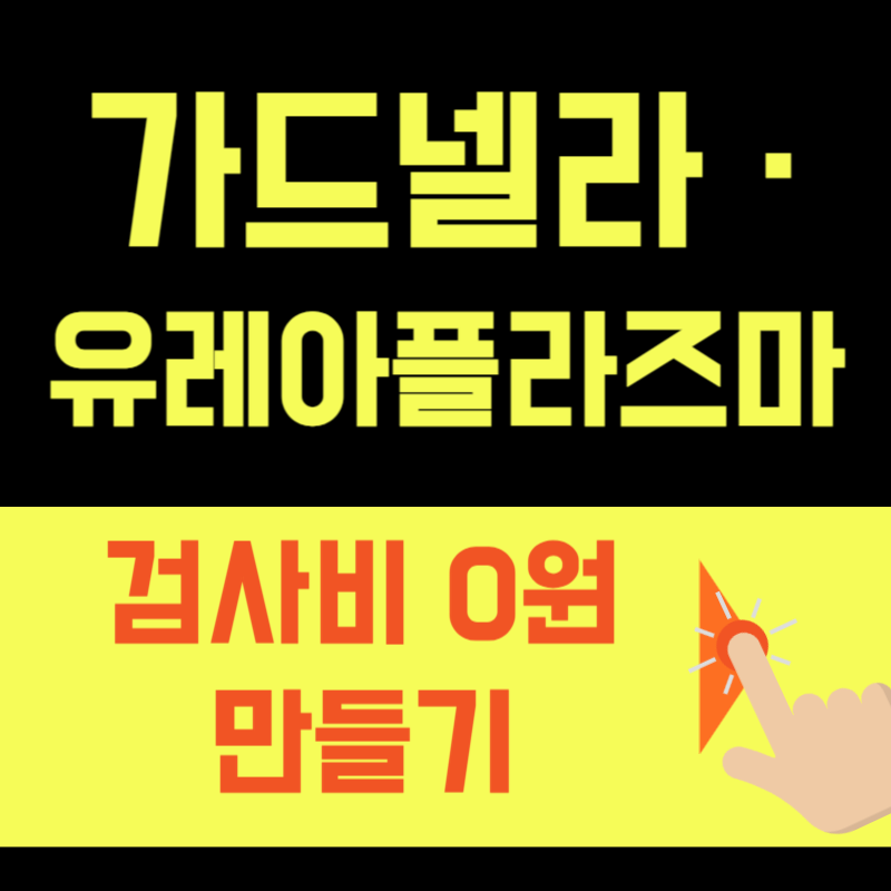 [2026] 가드넬라·유레아플라즈마 완치 가이드 — 재발 없이 끝내는 치료법과 파트너 검사 유....