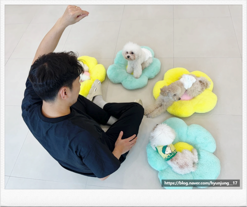 사진 5