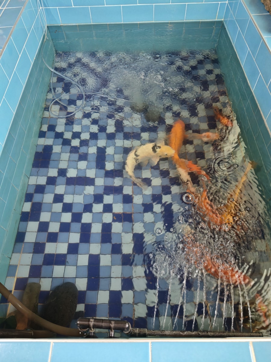숲속두부마을 사진 4