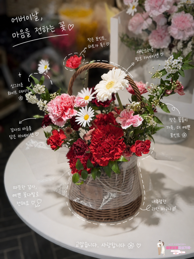  송파 꽃집 '하비오플라워바이수' 어버이날 카네이션 꽃바구니 S사이즈 후기