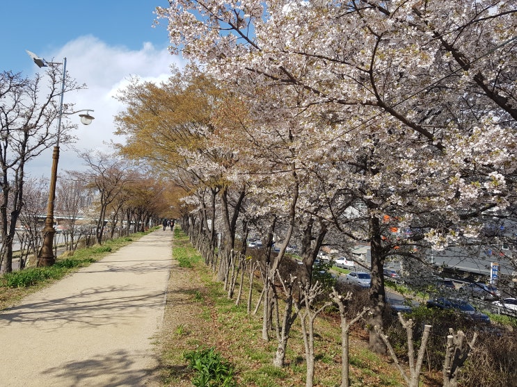  안양천 산책로｜서울 서남권에서 가볍게 걷기 좋은 하천길