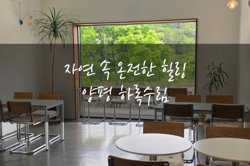 사진 6
