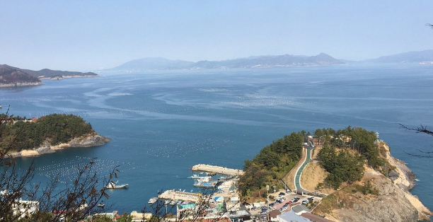 양향자 프로필 전라남도 출신