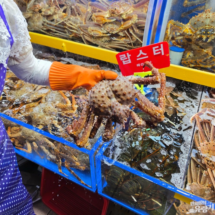  연안부두어시장 제철 해산물 대게 킹크랩 시세 인천종합어시장 주차장 정보