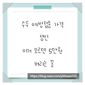 수두 예방접종 가격 성인, 이거 모르면 5만원 버리는 꼴