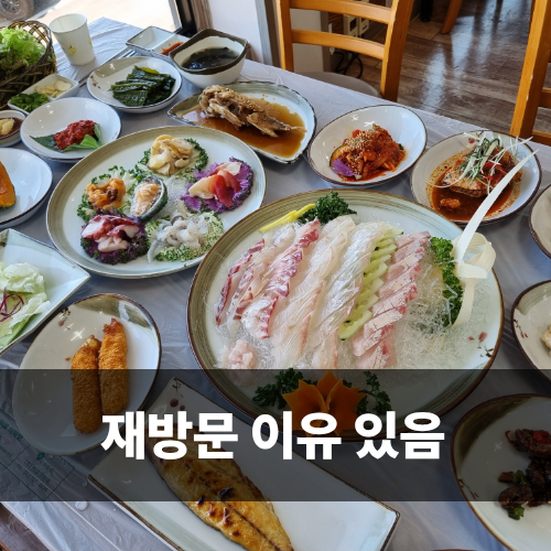  속초오션뷰횟집 일월횟집 장사항맛집 재방문 후기