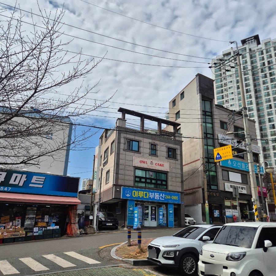 아울케이크 사진 4