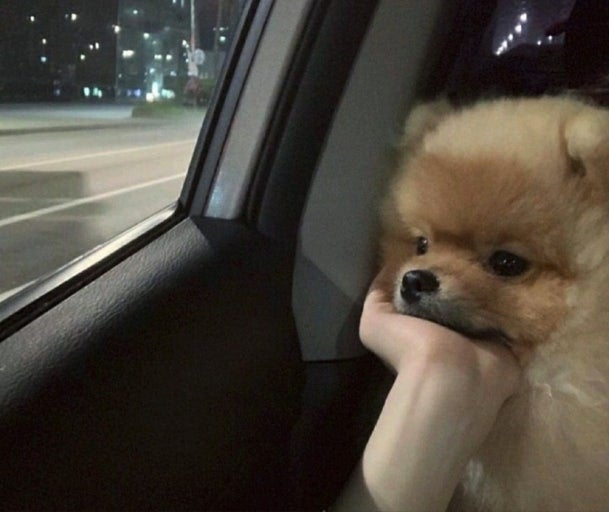 위암 대학 병원 예약 잡는 법[우리엄마가 위암이라고?]2.메이저 대학 병원 진료 예약