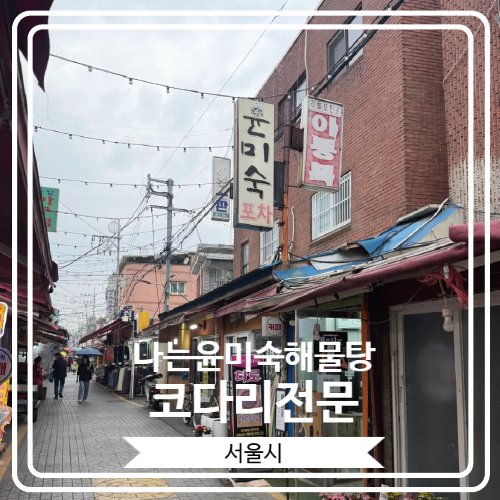  [나는윤미숙해물탕코다리전문] 자양동 노포 감성 화덕 생선구이 맛집