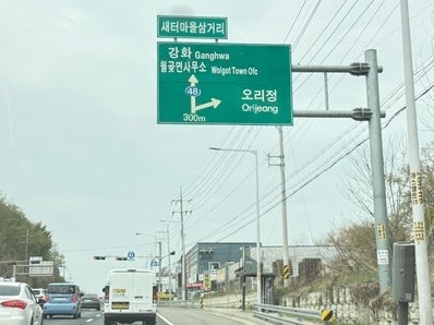 포리얼 사진 2