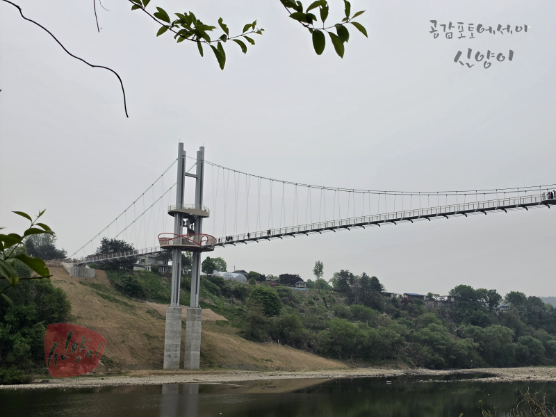 사진 11