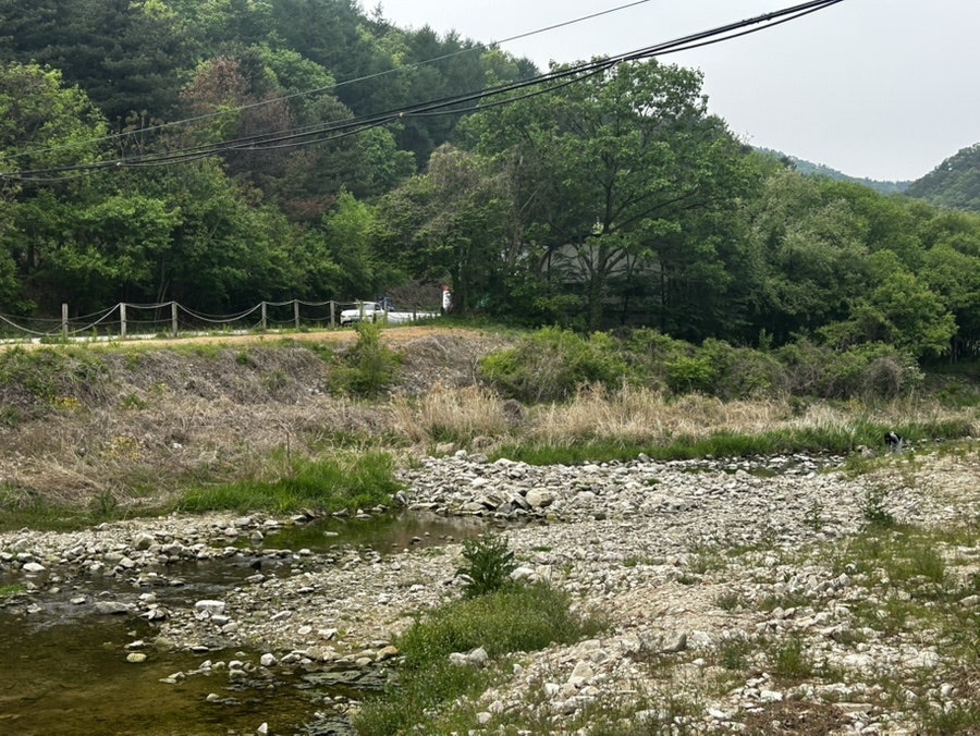 장터추어탕캠핑장 사진 4