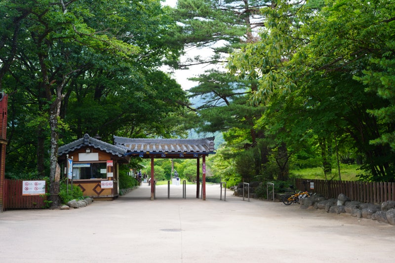 사진 3