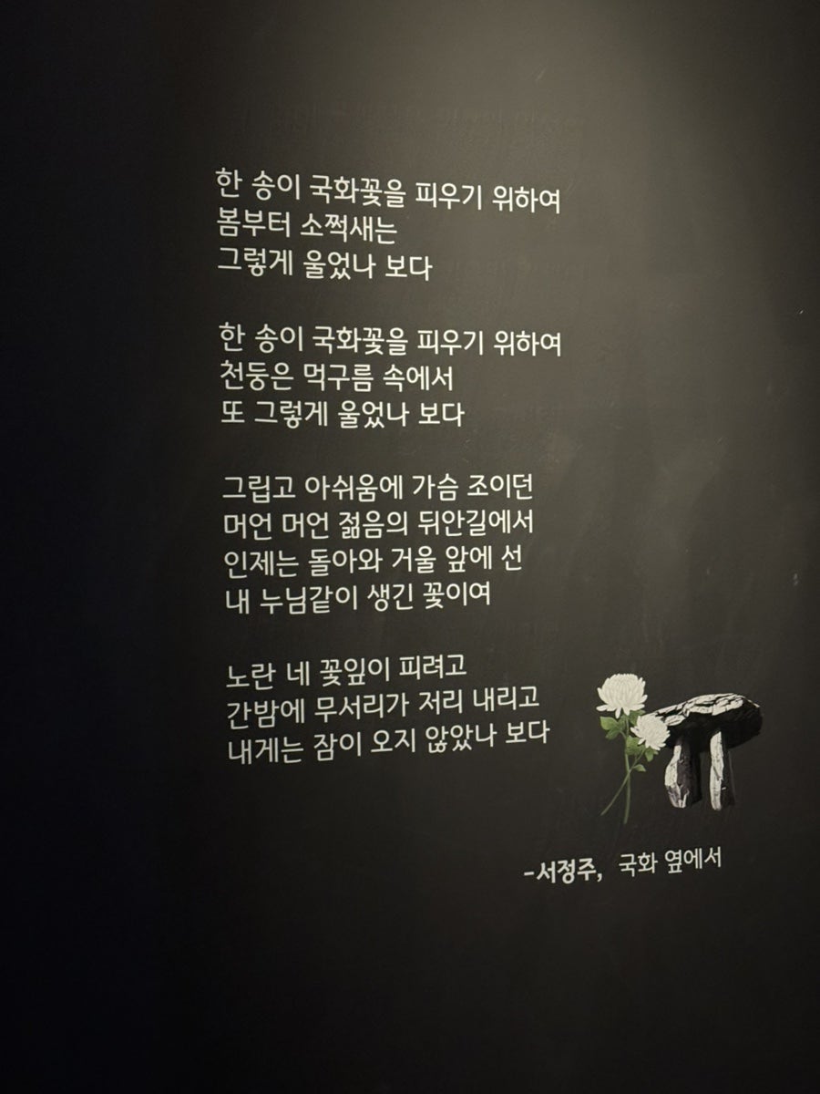 선운미디어갤러리 사진 6