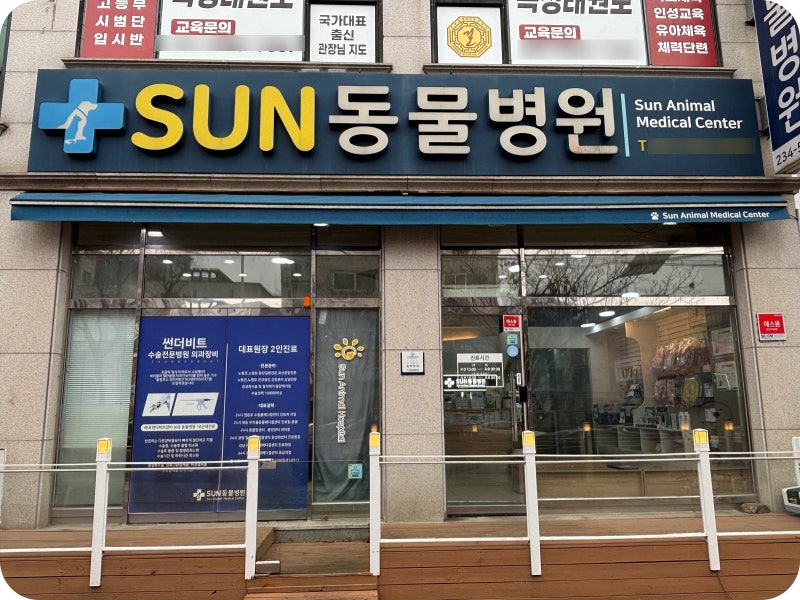사진 6
