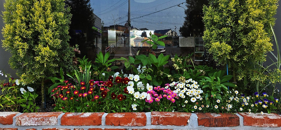 Nadaum photo 1
