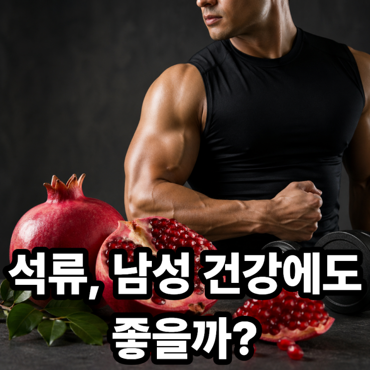  석류, 남성 건강에도 좋을까?  숨겨진 효과 제대로 정리