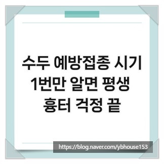 수두 예방접종 시기, 1번만 알면 평생 흉터 걱정 끝
