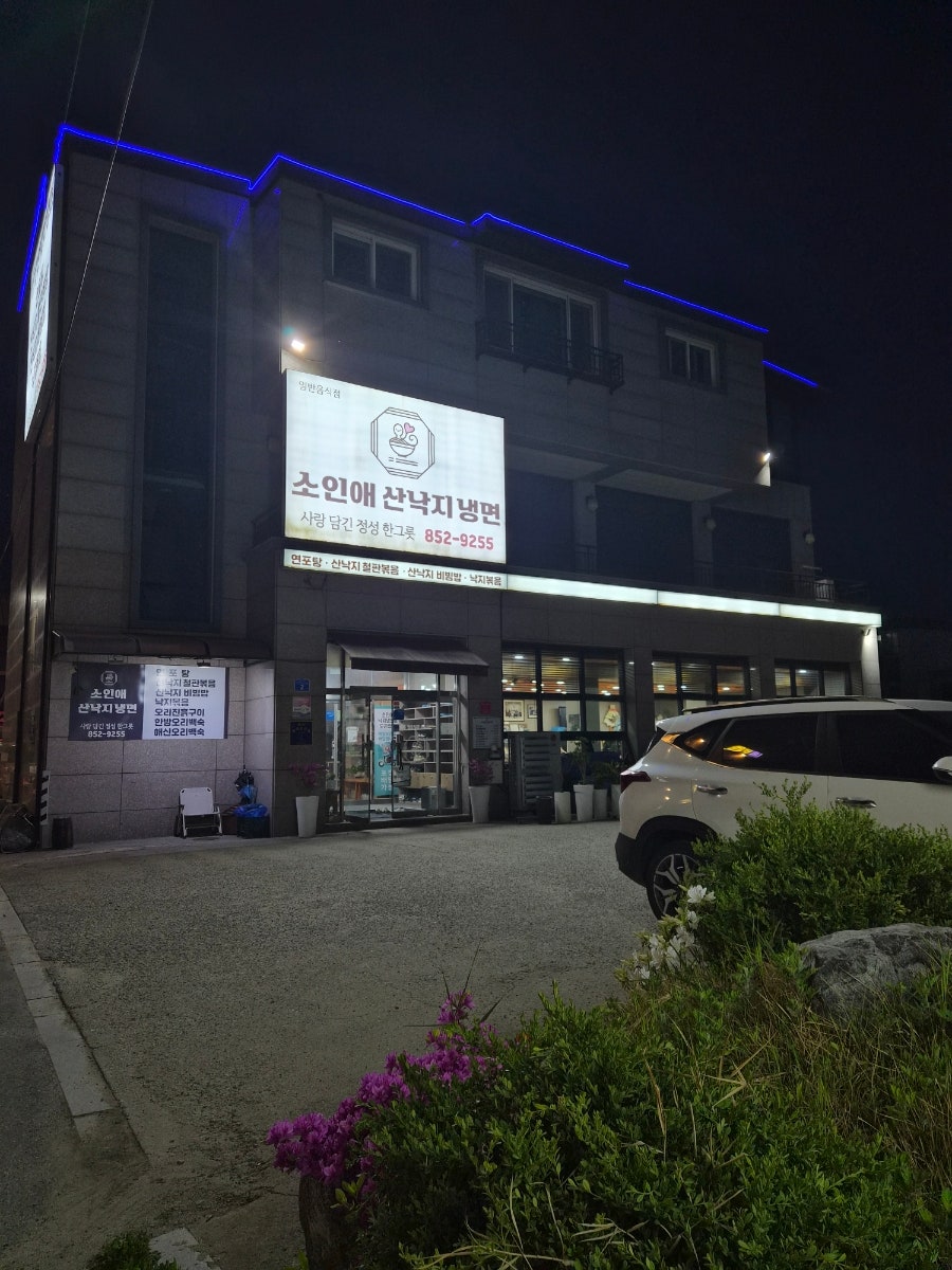 소인애산낙지냉면 사진 2