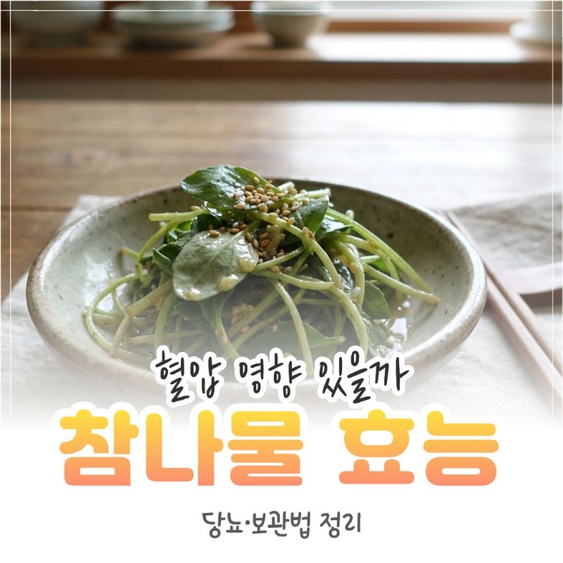 참나물 효능, 당뇨·혈압에 도움될까? 보관법까지 정리