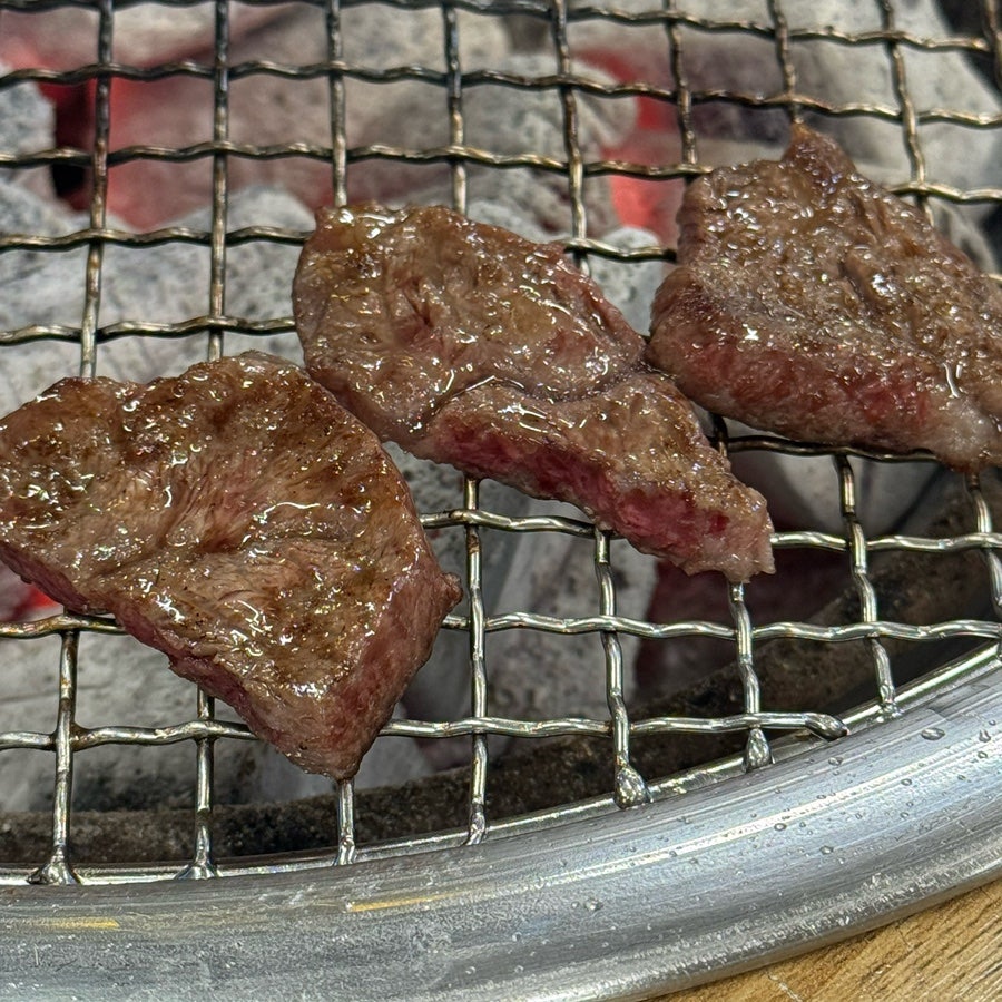 하누랑돈이랑 사진 4