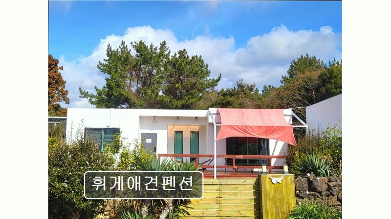 사진 11