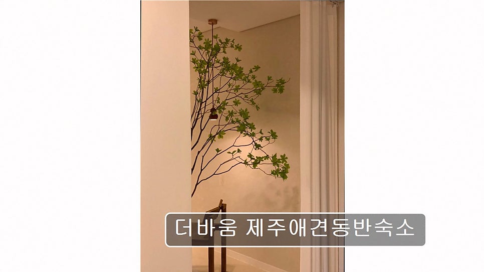 더바움 사진 6