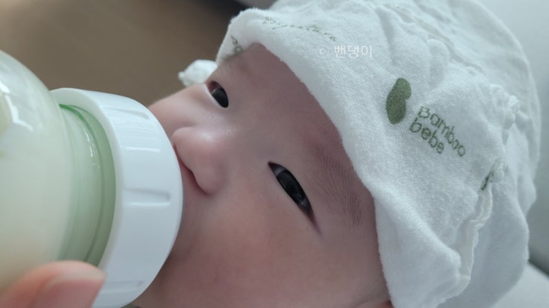3개월 아기 설사 유당불내증 분유에서 일반 분유로 갈아타기 + 똥기록