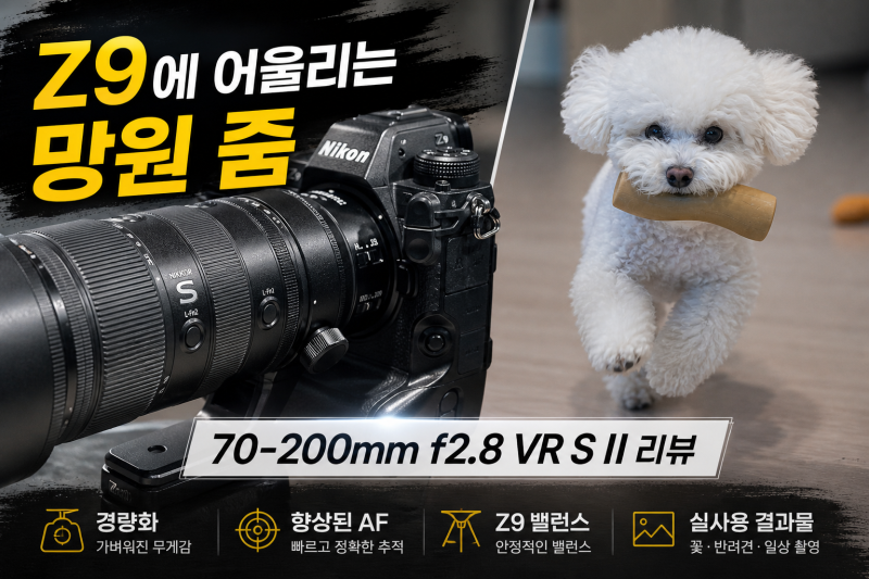 단렌즈 다 처분했다. 니콘 Z 70-200mm f2.8 VR S II 사용기