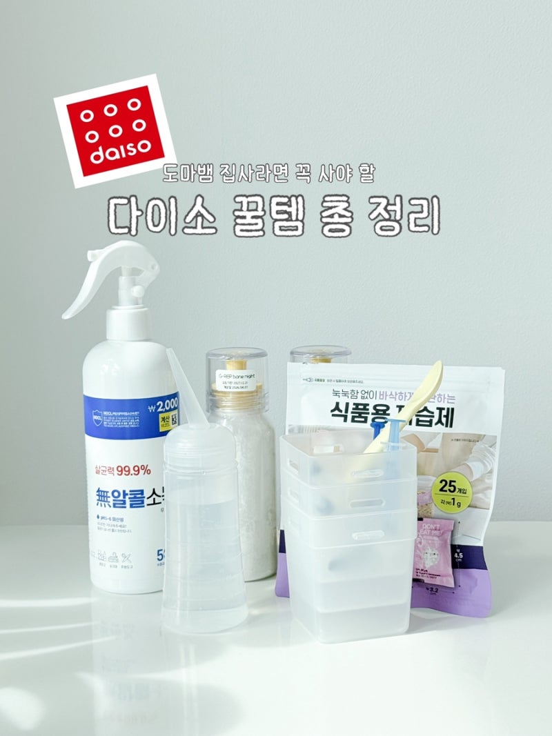 다이소 도마뱀 용품 다이소 크레스티드게코 도마뱀 용품 추천