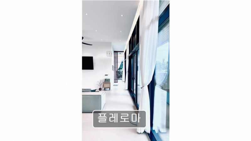 사진 3