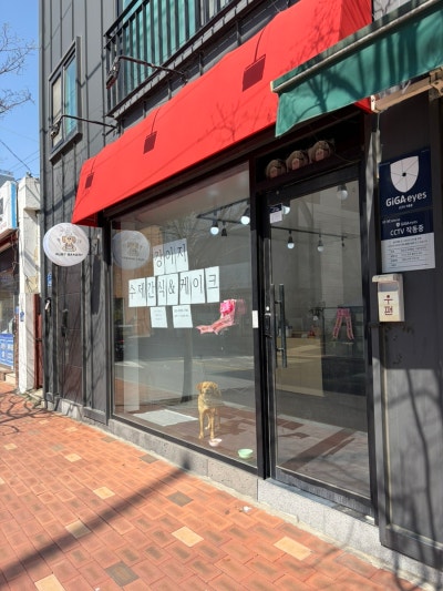 사진 3