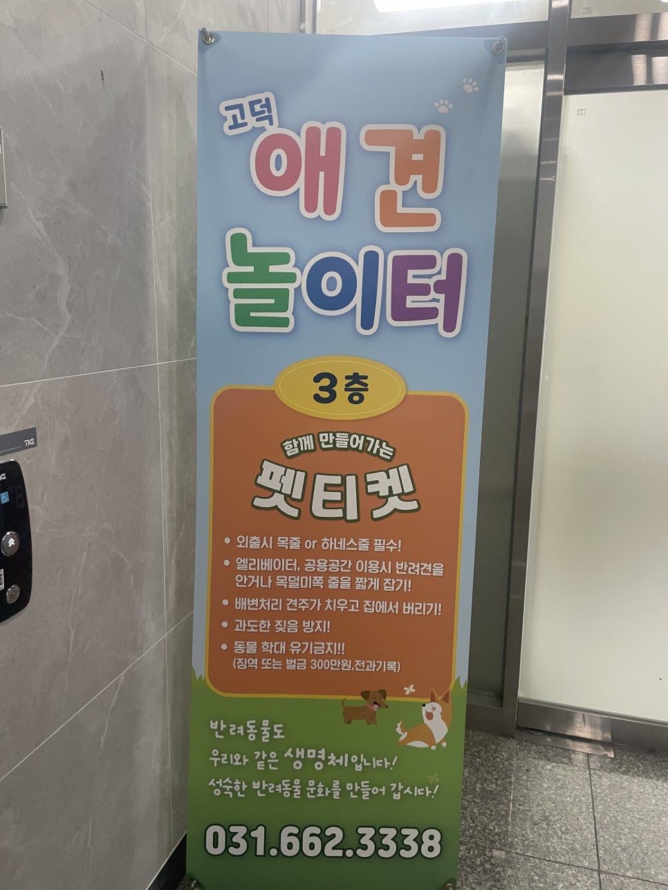 고덕애견놀이터 사진 4