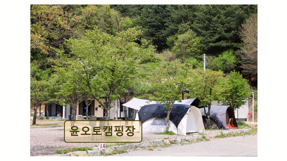 윤오토캠핑장 사진 2