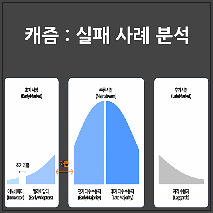  캐즘 극복 실패 사례 분석