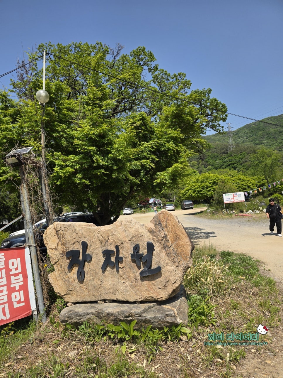 장자원 사진 1